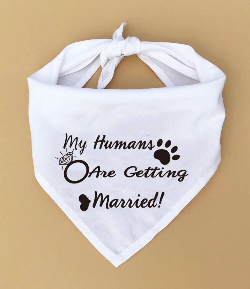Graphic Print Pet Bandana