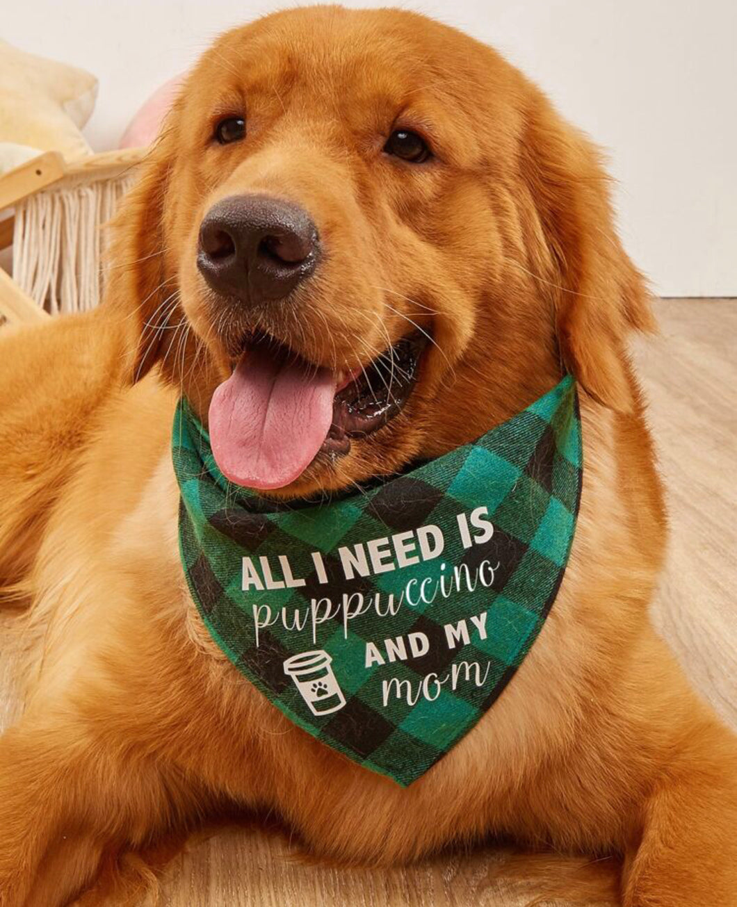 Graphic Pet Bandana